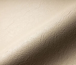 RENOLIT ALKORPLAN RELIEF